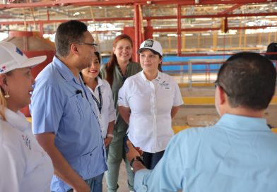 CSS y Mitradel unen esfuerzos: autoridades supervisan programa de vigilancia médica en fincas bananeras de Bocas del Toro CSS y Mitradel unen esfuerzos: autoridades supervisan programa de vigilancia médica en fincas bananeras de Bocas del Toro